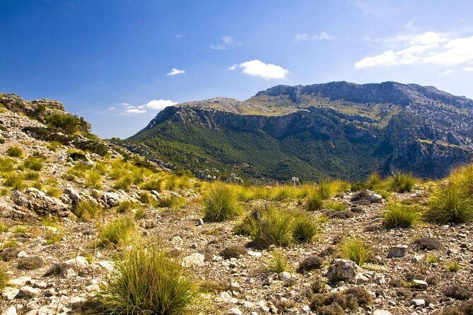 Hiking Private Tour in Pollensa - Key Highlights in Pollença (What Makes This Hike Feel Worth It)