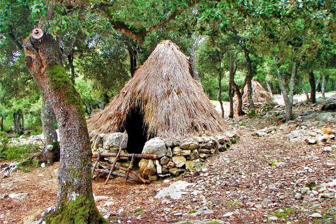 Hiking Private Tour in Pollensa - Alcúdia: Short Stops That Break Up the Effort