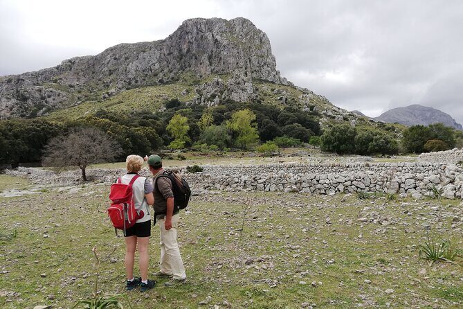 Hiking Private Tour in Pollensa - From Via Pollentia to a Real 5-Hour Walking Day