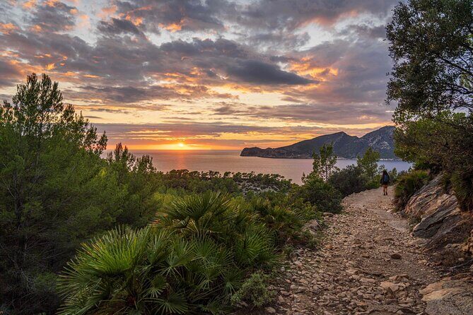 Hiking Tour into the sunset - Port Andratx to Sant Elm - Key highlights