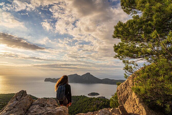 Hiking Tour into the sunset - Port Andratx to Sant Elm - Price and value: is $95.53 a good deal here?