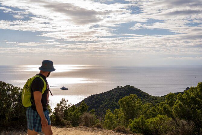 Hiking Tour into the sunset - Port Andratx to Sant Elm - Port d’Andratx: a working harbor and a scenic warm-up