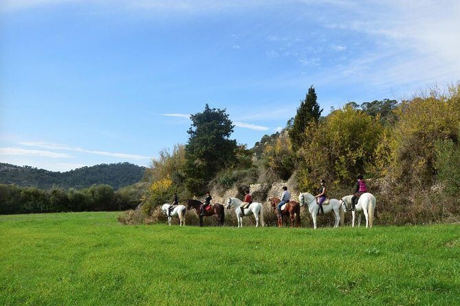 Horseback Riding in Randa Valleys, Mallorca, Spain - Key Highlights You’ll Feel