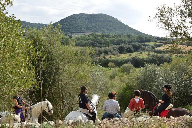 Horseback Riding in Randa Valleys, Mallorca, Spain - Horseback Riding in Randa Valleys: Why This Area Works