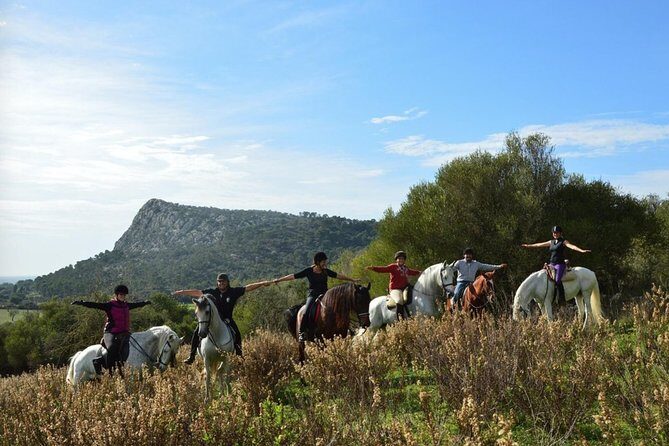 Horseback Riding in Randa Valleys, Mallorca, Spain - Price and Logistics: Pickup Options and What the Timing Really Means