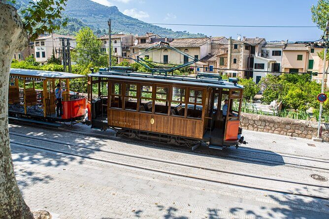 Island Tour with Train Tram Boat and Bus from Cala Millor - Torrent de Pareis: limestone canyon views and big-geology context