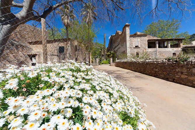 Jardines de Alfabia Tickets - Weather reality check: when it’s not perfect, it still works