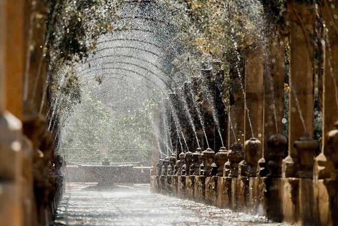 Jardines de Alfabia Tickets - Who should book these Jardines de Alfabia tickets?