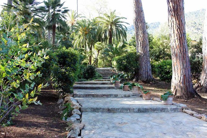 Jardines de Alfabia Tickets - Practical tips for a smoother visit
