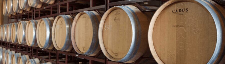 Llucmajor: Bodegas Bordoy Wine Tour - Key points I think you’ll care about