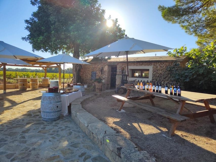 Llucmajor: Bodegas Bordoy Wine Tour - Tour timing in plain terms: how the 1.5 hours plays out