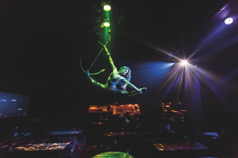 Magaluf: Pirates Adventure Dinner Show Ticket - Key highlights to plan around