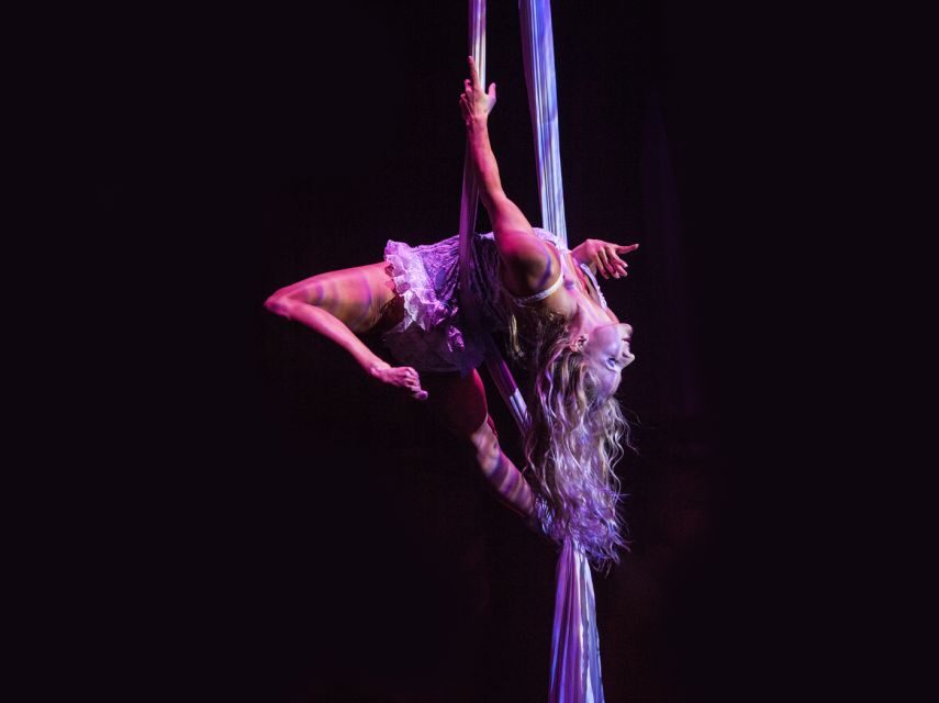 Magaluf: Pirates Adventure Dinner Show Ticket - Tickets and seating: Main Deck to VVIP backstage access