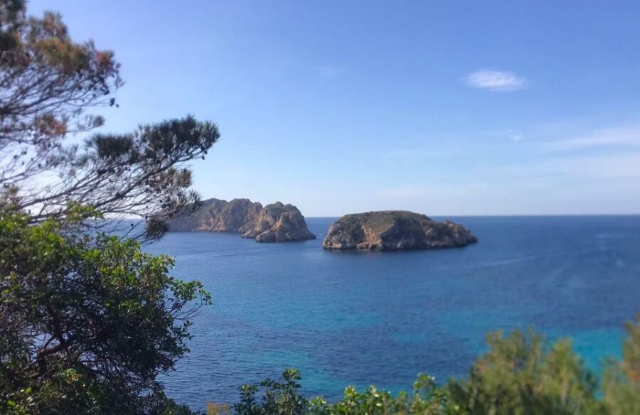 Mallorca: 2-Hour Coastline & Malgrat Islands Catamaran Tour - Onboard Life on the Catamaran: Comfort, Toilets, and the Crew Style