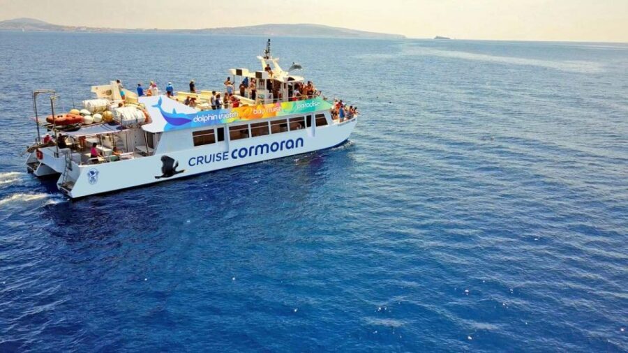 Mallorca: 2-Hour Dolphin Watching Cruise & Glass-Bottom Boat - Why the 2-hour timing feels right in Mallorca