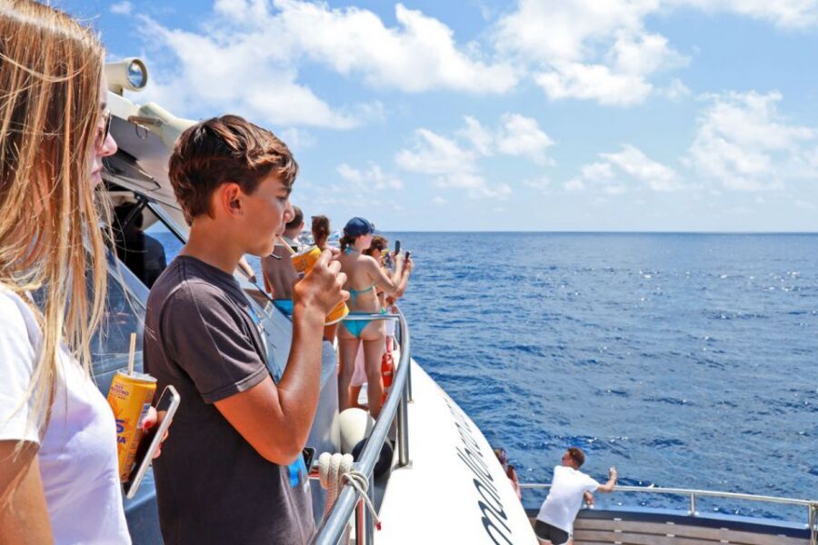 Mallorca: 2-Hour Dolphin Watching Cruise & Glass-Bottom Boat - Your dolphin-watching routine: how sightings usually happen