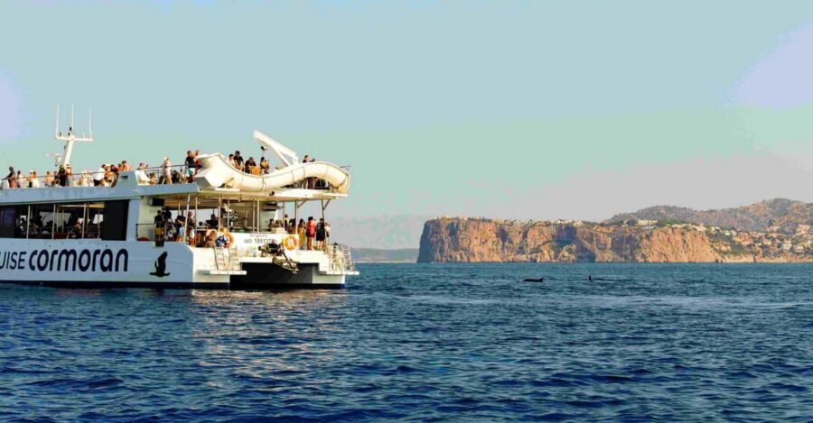 Mallorca: 2-Hour Dolphin Watching Cruise & Glass-Bottom Boat - Coastline time: enjoy the views while you wait