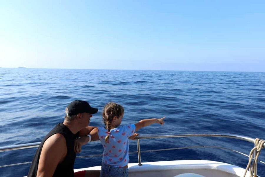 Mallorca: 3-Hour Afternoon Dolphin Watching Boat Tour - Quick Prep List: What to Bring and What to Avoid
