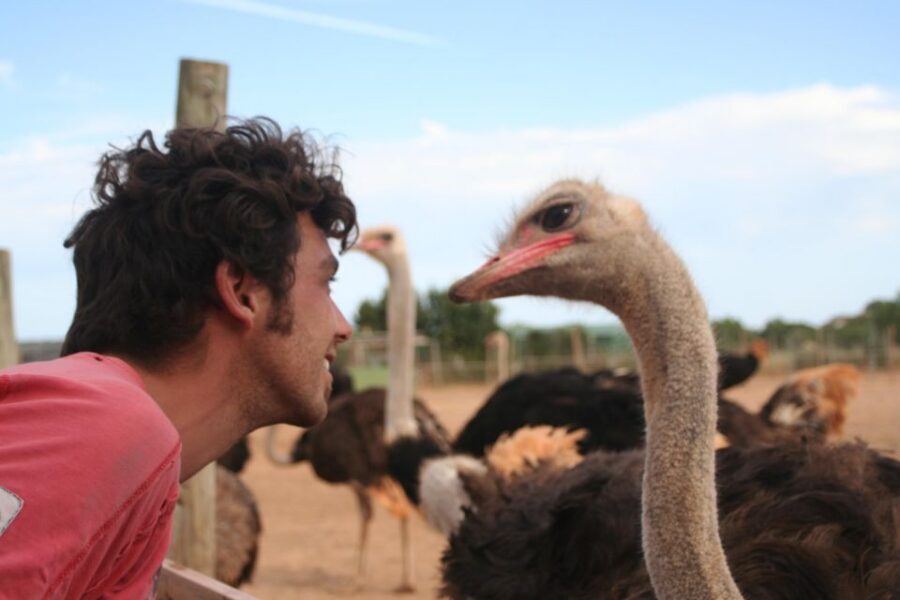 Mallorca: Artestruz - Ostrich Farm Ticket Entrance - Timing: How Long Should You Plan for?