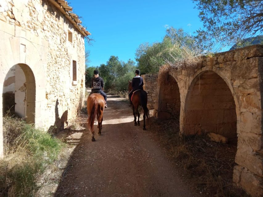 Mallorca: Authentic Horseback Ride in Rural Mallorca - Who should book this ride (and who should skip it)