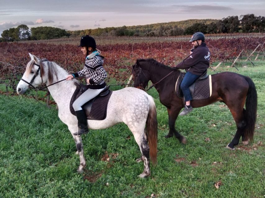 Mallorca: Authentic Horseback Ride in Rural Mallorca - Why this rural Mallorca ride is more than a scenic walk