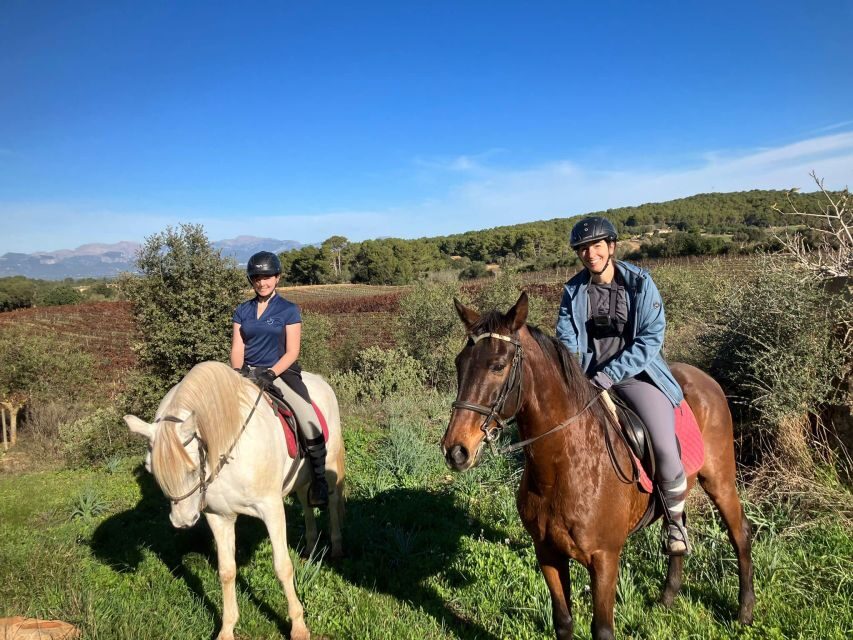 Mallorca: Authentic Horseback Ride in Rural Mallorca - The start of the experience: welcome, tack, and an arena confidence boost
