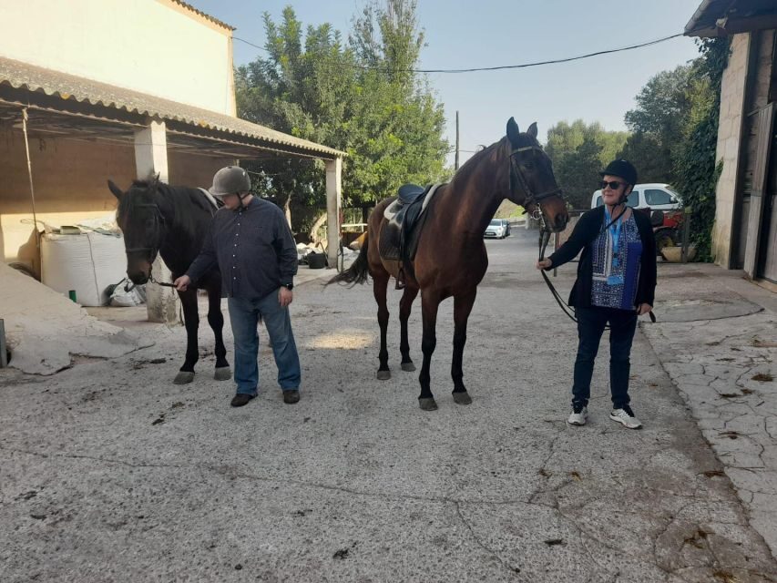 Mallorca: Authentic Horseback Ride in Rural Mallorca - Holm oaks, valley paths, and open farm tracks in the Randa area