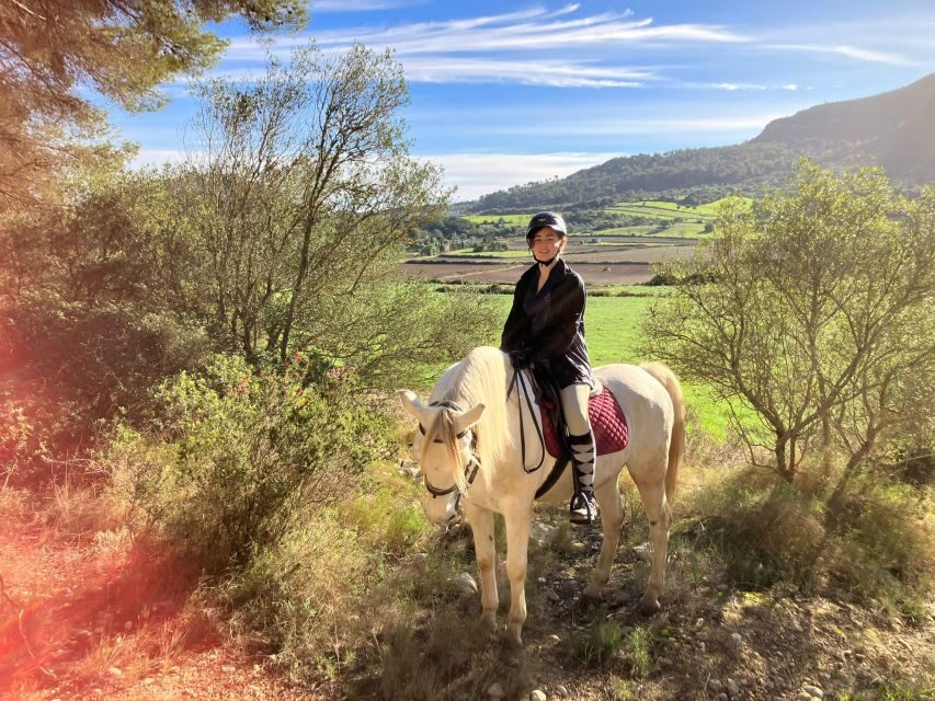 Mallorca: Authentic Horseback Ride in Rural Mallorca - The riding pace: trots, canters, and skill-building on wide trails