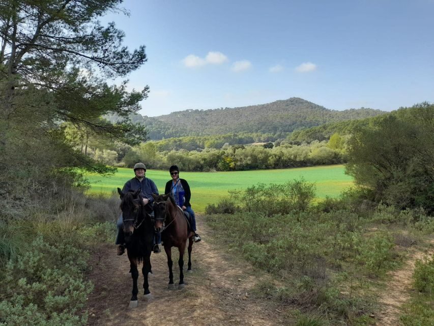 Mallorca: Authentic Horseback Ride in Rural Mallorca - Small group energy: up close with horses, not lost in the crowd