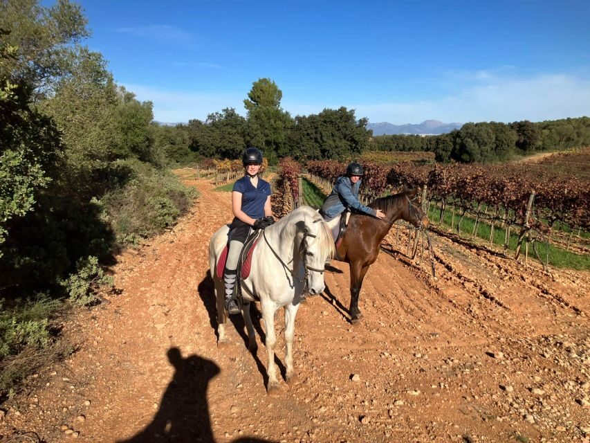 Mallorca: Authentic Horseback Ride in Rural Mallorca - Safety basics that are actually included