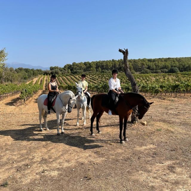 Mallorca: Authentic Horseback Ride in Rural Mallorca - Getting there: Llucmajor and Algaida van pick-up