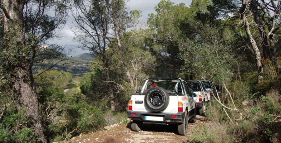 Mallorca: Beach and Mountain 4X4 Tour - What the Driving Really Means: Manual Vitaras and Bumpy Fun