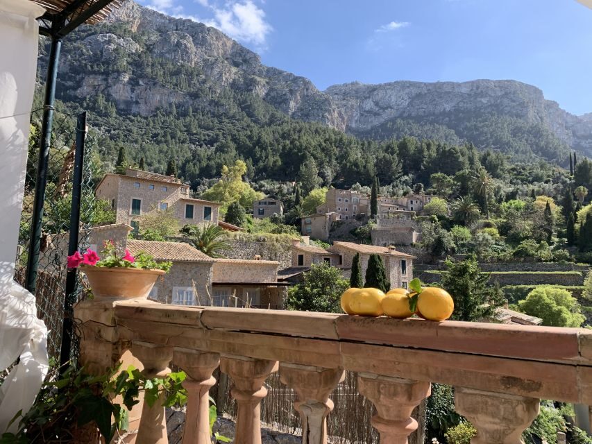 Mallorca Beyond the Guidebooks - Tour with the famous Author - Quick reasons to choose this Mallorca day