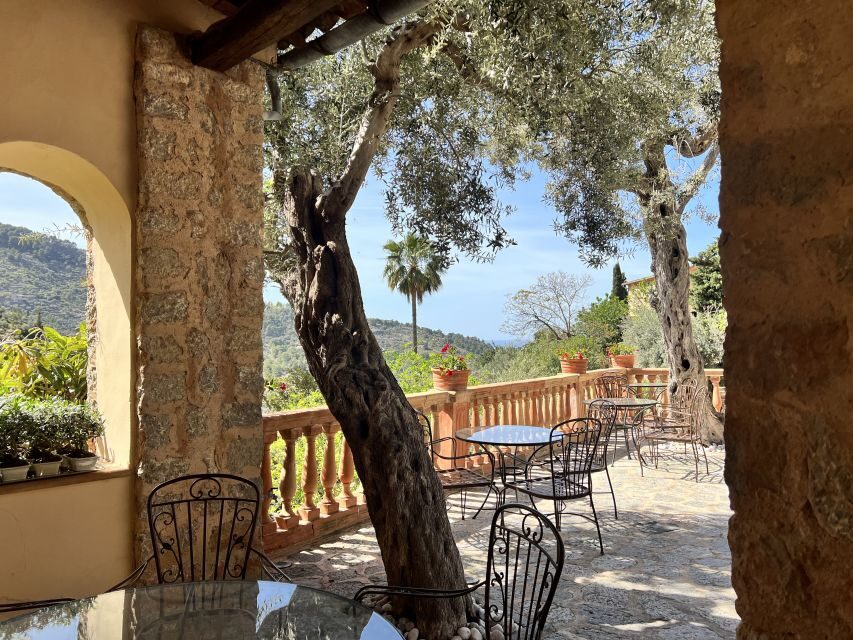 Mallorca Beyond the Guidebooks - Tour with the famous Author - Author-led Mallorca: what you’re really buying at $265