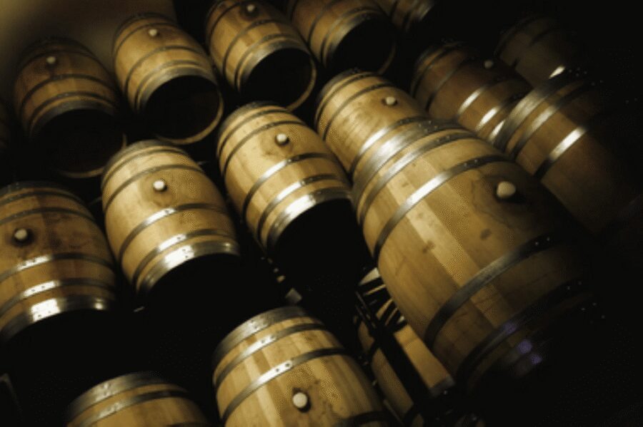 Mallorca: Bodega Butxet Vineyards & Winery Tour with Tasting - Key highlights you’ll feel right away