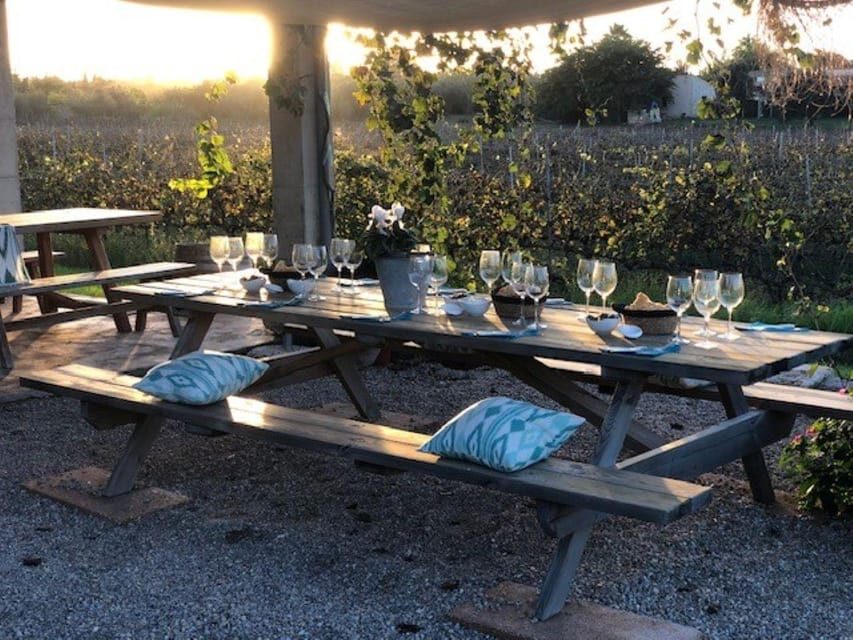 Mallorca: Bodega Butxet Vineyards & Winery Tour with Tasting - How much does it cost, and why $26 feels fair