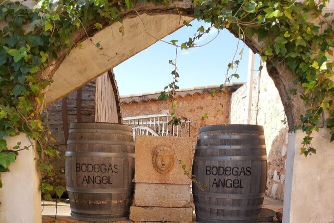 Mallorca Bodega & Olive Minibus Tour incl. Pick-up South Coast - Santa Maria del Cami and Vins Nadal: how the day connects to Mallorca wine culture