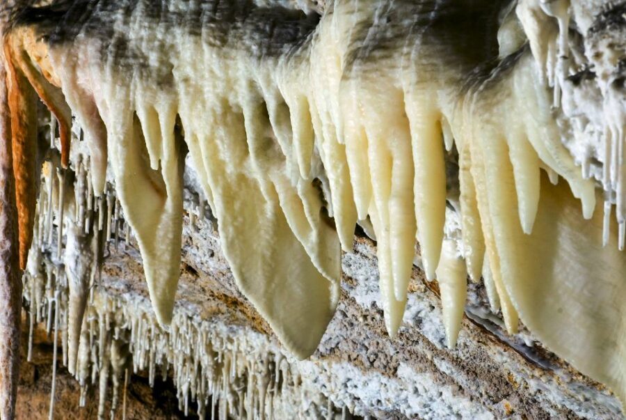 Mallorca: Campanet Caves Entry Ticket - Your 40-Minute Walk: What You’ll See Inside the Caves