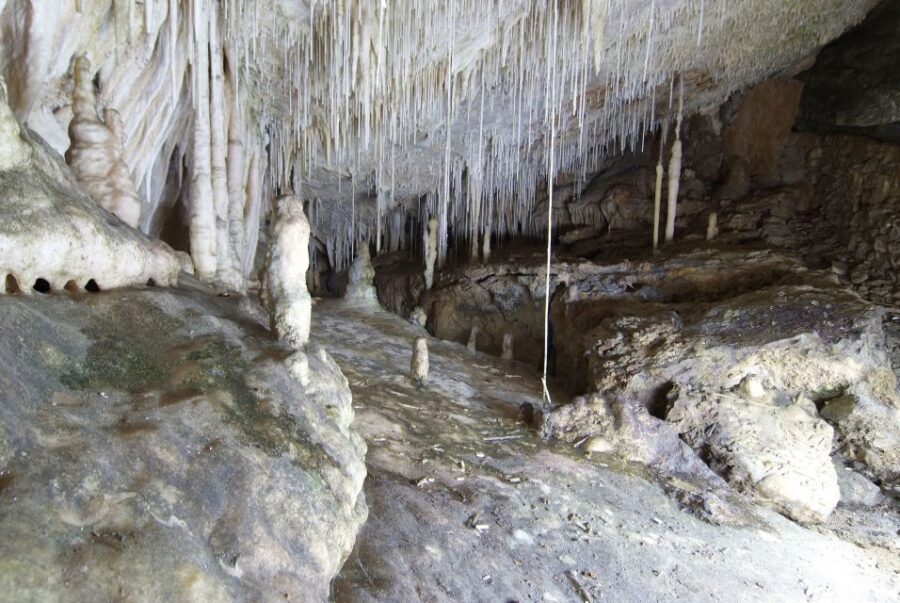 Mallorca: Campanet Caves Entry Ticket - Ticket Value: Is $20 Reasonable for a 40-Minute Self-Guided Visit?