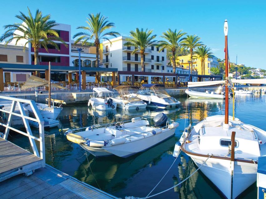 Mallorca: Catamaran Coastal Cruise with Lunch - Key moments that make this cruise worth it