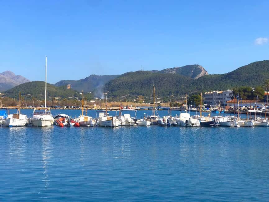 Mallorca: Catamaran Coastal Cruise with Lunch - Should you book the Mallorca catamaran cruise with lunch?