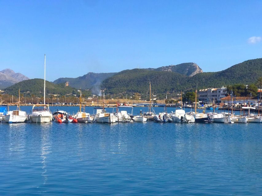 Mallorca: Catamaran Coastal Cruise with Lunch - A half-day Mallorca plan that doesn’t waste daylight
