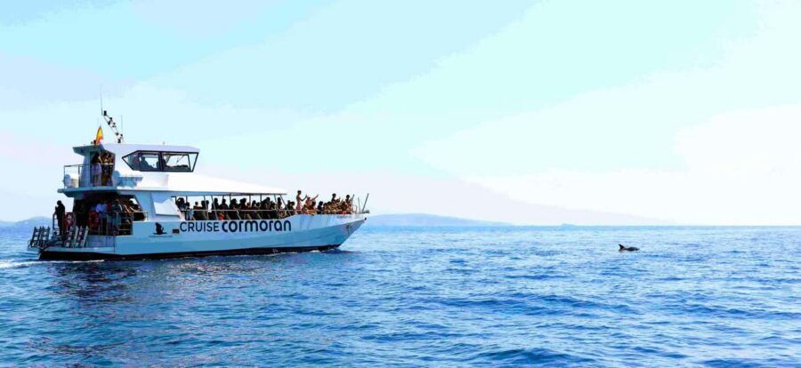 Mallorca: Catamaran Coastal Cruise with Lunch - Port Andratx in 40 minutes: enough time for the harbor feeling