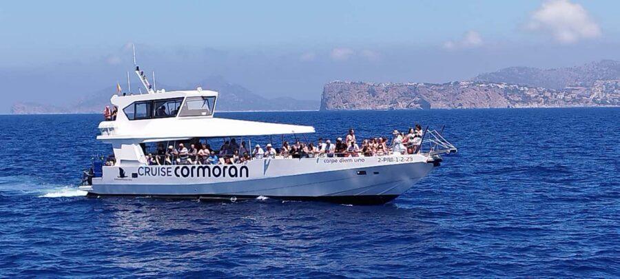 Mallorca: Catamaran Coastal Cruise with Lunch - Timing, meetings, and weather realities (so you’re not caught off guard)