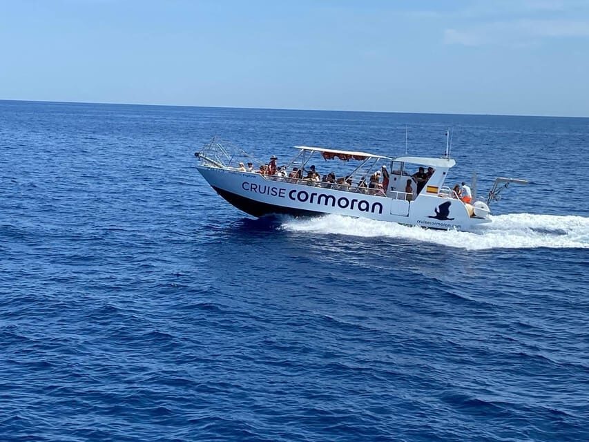 Mallorca: Caves, Cliffs, and Coves Boat Trip - Key things to know before you go