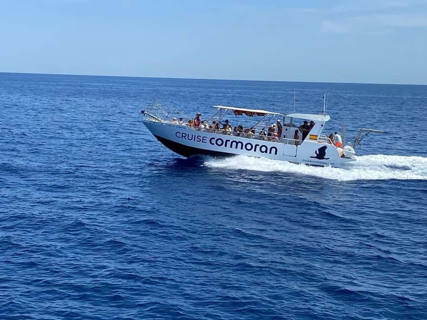 Mallorca: Caves, Cliffs, and Coves Boat Trip - The 2.5-hour format: what you’re really buying
