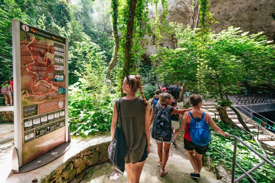 Mallorca: Caves of Drach Day Trip & Optional Caves of Hams - Entering Mallorca’s Caves of Drach: What Makes Them Special