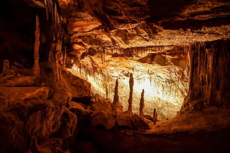 Mallorca: Caves of Drach Tour from the North with Boat Trip - Coach Pickup from the North: What the Ride Adds
