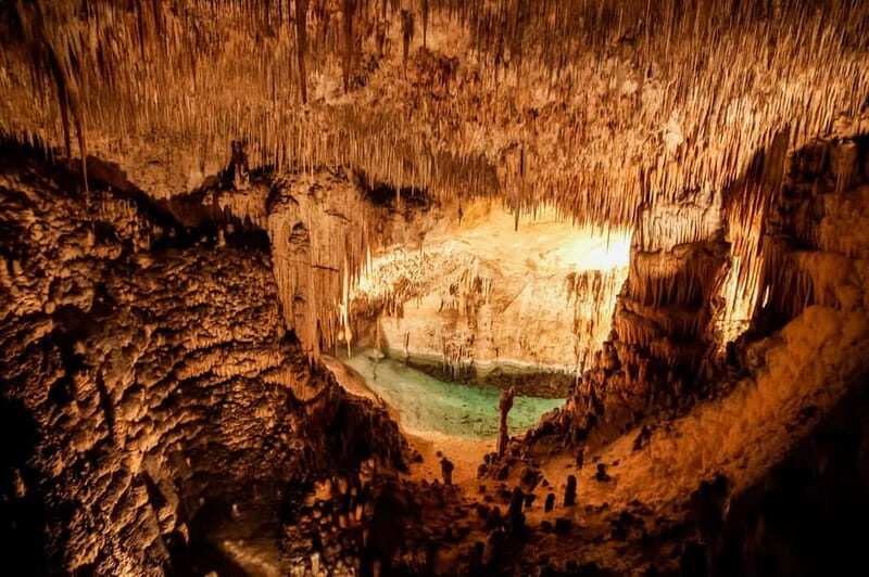Mallorca: Caves of Drach Tour from the North with Boat Trip - Entering the Caves of Drach: Expect the Steps and the Scale