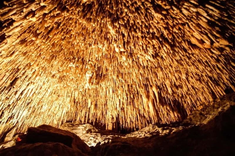 Mallorca: Caves of Drach Tour from the North with Boat Trip - Port Manacor Pearl Shop: The Most Likely Time-Sink